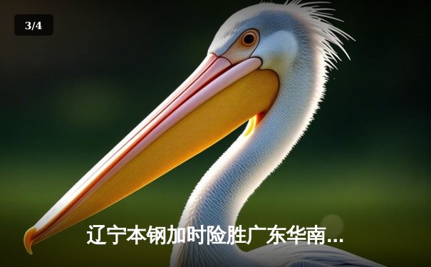 辽宁本钢加时险胜广东华南虎，赵继伟33分导演逆转好戏 - 3